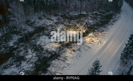 Der Feldhäcksler schneiden Bäume im Wald auf ein Luftbild mit der dicken weißen Schnee, der den Boden anmelden Stockfoto