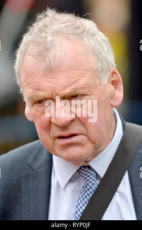 Glyn Davies MP (Con: Montgomeryshire) auf College Green, Westminster, 13. März 2019 Stockfoto