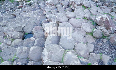 Spalten der Basaltfelsen in Nordirland gefunden in Giants Causeway Gegend Stockfoto