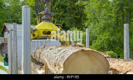 Ein Protokoll der Greifer erhalten die Protokolle auf der Lkw diese Fichte sind Protokolle von den Wald geschnitten werden Stockfoto