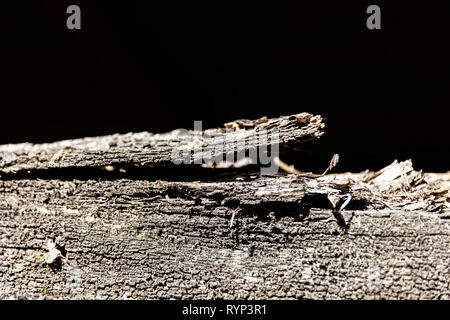 Alte Fensterbank detail Stockfoto