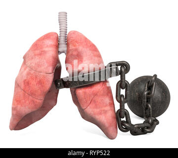 Lungen Schmerzen Konzept. Menschliche lungen mit Bügel. 3D-Rendering auf weißem Hintergrund Stockfoto
