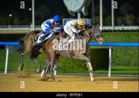 Dubai, VAE, 14. März 2019. Grady O'Shea gewinnt die CNN Health 1400 m Rennen am letzten Tag der 2019 Dubai Racing Carnival. Mit der heute Abend gewinnen an Bord schnelle Bewegung, er bindet die alle Zeit UAE Datensatz von 504 gewinnt durch Richard Hills Credit: Feroz Khan/Alamy Leben Nachrichten festlegen Stockfoto