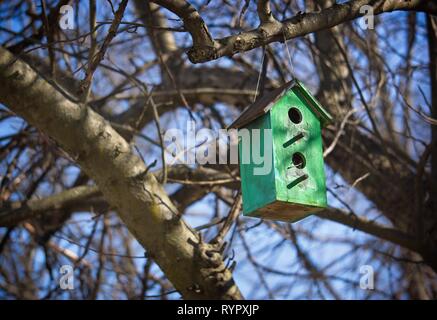 Ein blue bird House. Stockfoto