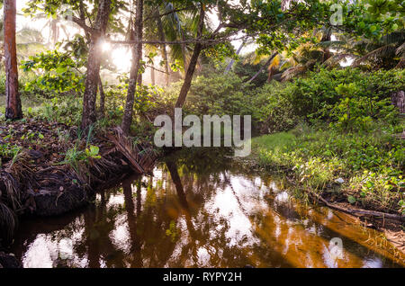 Kleiner See von Grün und Bäumen umgeben. Sonnenstrahlen, die durch die Bäume Stockfoto