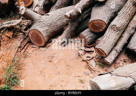 Nahaufnahme von Baum braun detaillierte Rundholz Stamm geschnitten, gestapelt - Abholzung und Holzbearbeitung Konzept. Stockfoto