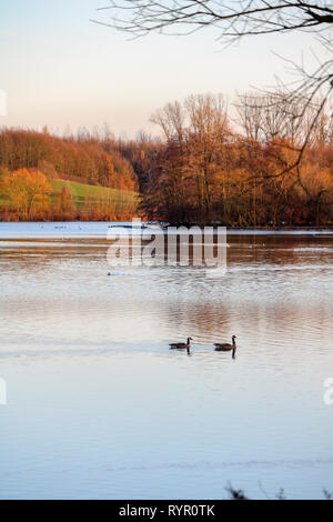 Bielefeld Obersee im Winter, Bielefeld, Deutschland Stockfoto