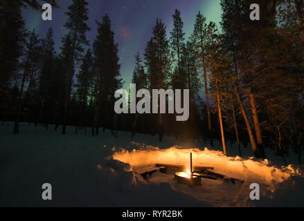 Ein Kamin im Winter Wald mit Aurora Borealis (Nordlicht) scheint auf Himmel hinter Bäumen im Norden Lappland. Saariselka, Finnland. Stockfoto