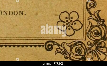 Die Emu offizielles Organ der WWU: offizielles Organ des Australasian Ornithologists' Union. emuofficialorgan 1319131914 roya Jahr: 1901. ALLE RECHTE VORBEHALTEN. Stockfoto