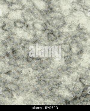 Elektronenmikroskopie; Verfahren der Elektronenmikroskopie; Verfahren der Konferenz von Stockholm, September, 1956. electronmicrosco 00 Euro Jahr: 1957 Stockfoto