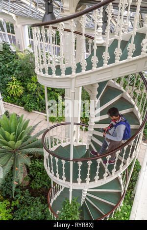 Wendeltreppe in den Gemäßigten Haus in Kew Gardens, London Stockfoto