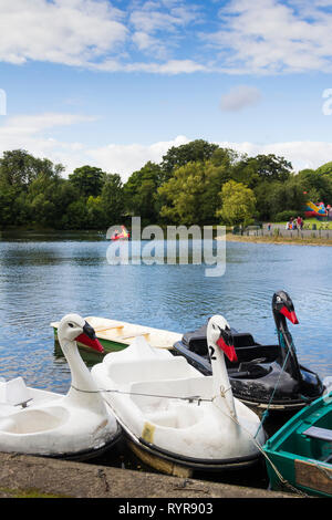 Swan-themed Tretboot Boote auf dem See zum Bootfahren im Saltwell Park, Gateshead, Tyne und Wear. Stockfoto