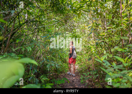 Junge Mann auf dem Weg in den tropischen Dickichten in Shorts, die im oberen Tank, Turnschuhe und einen leichten Rucksack. Wanderer in einem Nationalpark. Krabi, Thailand. Stockfoto