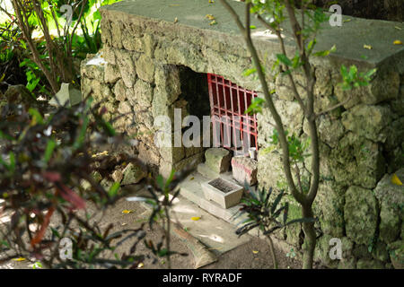 Große Akagi Baum des Shurikinjo, Präfektur Okinawa, Japan Stockfoto