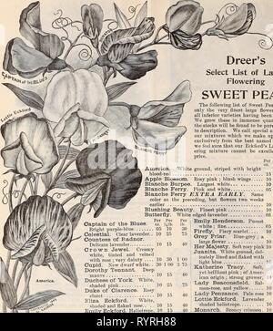 Dreer die vierteljährlichen Großhandel Preisliste Dreer die vierteljährlichen Großhandel Preisliste: Samen pflanzen Lampen Werkzeuge Düngemittel Verbrauchsmaterialien&c. dreersquarterlyw 1897 henr Jahr: 1897 18 DREER DER GROSSHANDEL PREISLISTE. Dreer die Liste aus der großen Blüte ZUCKERERBSEN. Schmetterling -, Pro Kapitän des Blues. oz. Hell lila-blau 05 Astro. Klar Lavendel.. 10 Gräfin von Radnor. Zarte Lavendel 10 Crown Jewel. Cremig weiß, getönte und Geädert â mit Rose; verv Zierliche 10 Amor. Neue Zwerg weiß.. 30 1 00 Dorothy Tennant. Deep Mauve 10 Herzogin von York. Weiß, schattigen Rosa 10 Herzog von Clarence. Rosy Claret 1. Stockfoto