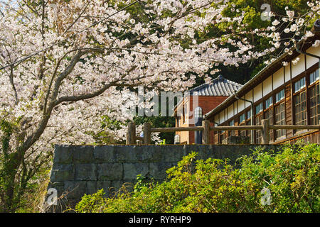 Misumi West Port im Frühjahr, Präfektur Kumamoto, Japan Stockfoto