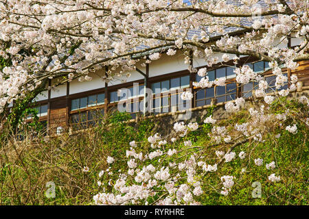 Misumi West Port im Frühjahr, Präfektur Kumamoto, Japan Stockfoto