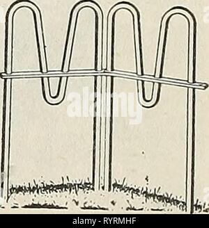 Dreer ist ein echtes altmodisches Dreer ist ein echter altmodischer Qualität Garten Buch für 1952: Ihren Garten schöner Produktiver angenehmer zu machen. dreersrealoldfas 1952 henr Jahr: 1952 34 Stockfoto