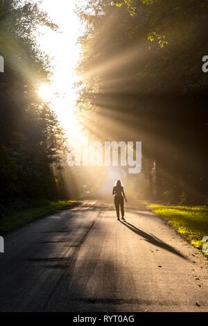 Junge Frau zu Fuß auf einer Straße, die Sonne scheint durch die Bäume, Oregon Coast Highway, Oregon, USA Stockfoto