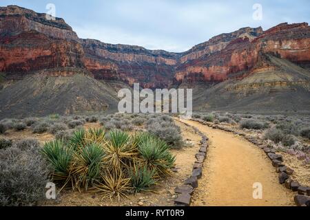 Blick vom Plateau Point in die Schlucht des Grand Canyon South Rim, Bright Angel Trail Wanderweg Stockfoto