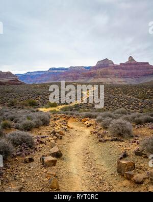 Blick vom Plateau Point Trail in der Schlucht des Grand Canyon South Rim, Bright Angel Trail Wanderweg Stockfoto