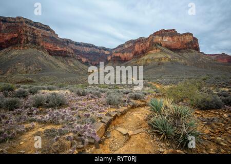 Blick vom Plateau Point Trail in der Schlucht des Grand Canyon South Rim, Bright Angel Trail Wanderweg Stockfoto