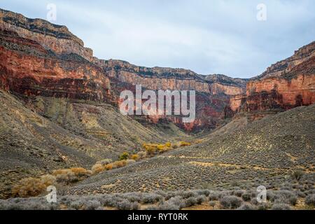 Blick vom Plateau Point Trail in der Schlucht des Grand Canyon South Rim, hinter Indian Garden, Bright Angel Trail Stockfoto