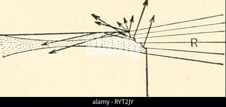 Elementare chemische Mikroskopie (1921) elementaren chemischen Mikroskopie. elementarychemi 00 cham Jahr: 1921 Stockfoto