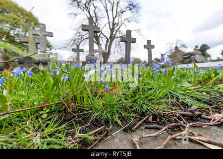 Brompton Friedhof. Im Jahre 1840 als kommerzielle Friedhof eröffnet wurde, gibt es nur sehr wenige Arme hier begraben. London. Großbritannien Stockfoto