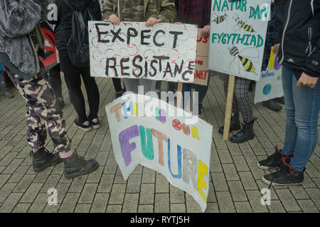 Aberystwyth, Großbritannien. 15 Mär, 2019. Schüler, Eltern und Erwachsene demonstrieren, als Teil der weltweiten Protest, Maßnahmen gegen den Klimawandel in Aberystwyth, Ceredigion, Wales, Großbritannien zu verlangen. Credit: Julio Etchart zu ihrem/Alamy leben Nachrichten Stockfoto