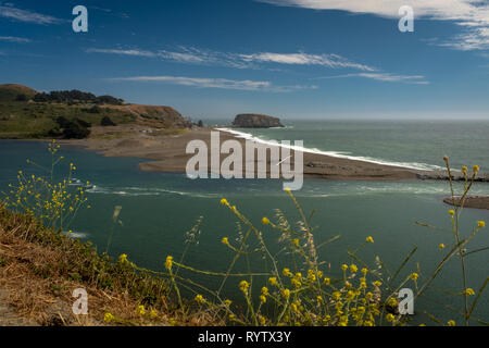 Das Russian River erfüllt die Pazifischen Ozean am Jenner Köpfe, mit leuchtend gelben Blumen im Vordergrund und der strahlend blaue Himmel Stockfoto