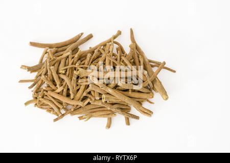 Ashwagandha (Withania somnifera) oder Winter cherry Wurzeln auf weißem Hintergrund Stockfoto