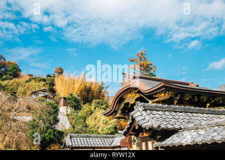 Kenchoji Tempel im Herbst in Kamakura, Japan Stockfoto