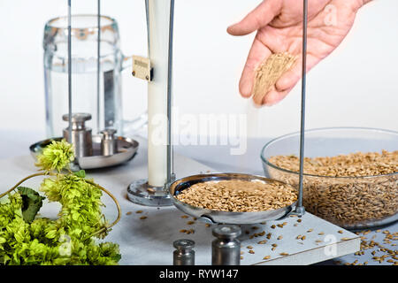 Waagen mit Rohstoff für die Bierherstellung Stockfoto