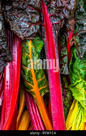 Mangold. Die berühmten Borough Markt, ein Markt mit frischen Lebensmitteln verkaufen alle Arten von Obst, Gemüse, Fisch und Fleisch. London Stockfoto