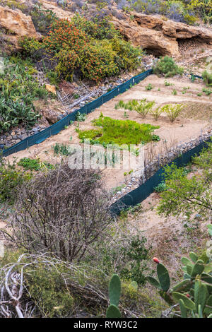 Finca, Feldern Anbau von Gemüse in der Nähe von Las Vegas, Teneriffa, Kanarische Inseln, Spanien Stockfoto