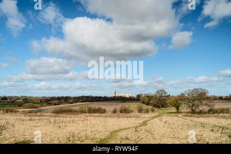 Blick über die landwirtschaftliche Landschaft und Parklandschaft mit Bäumen und alten Münster am Horizont im Frühjahr in Beverley, Yorkshire. Stockfoto