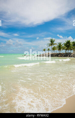 Kokospalmen, in der Nähe der Küste bei Praia do Sossego (Sossego Beach) auf der Insel Itamaraca (Pernambuco, Brasilien) Stockfoto