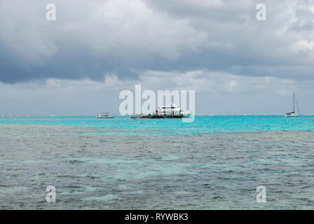 Lady Musgrave Island, Queensland, Australien. 11 Dez, 2012. Das Great Barrier Reef Stockfoto