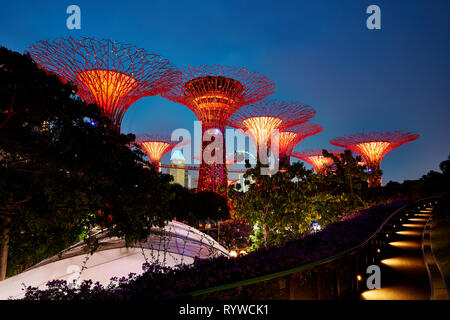 Abgebildet ist die Gärten an der Bucht Supertrees in Singapur Stockfoto