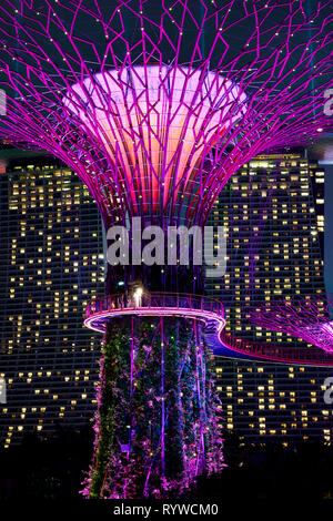 Abgebildet ist die Gärten an der Bucht Supertrees in Singapur Stockfoto