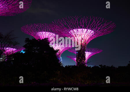 Abgebildet ist die Gärten an der Bucht Supertrees in Singapur Stockfoto