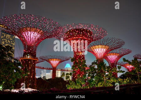 Abgebildet ist die Gärten an der Bucht Supertrees in Singapur Stockfoto