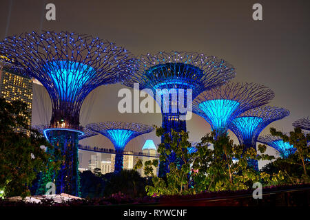 Abgebildet ist die Gärten an der Bucht Supertrees in Singapur Stockfoto