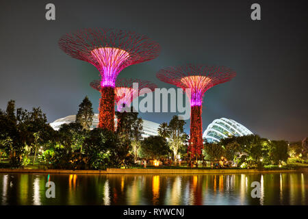 Abgebildet ist die Gärten an der Bucht Supertrees in Singapur Stockfoto