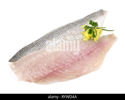 Fisch - Goldbrasse Filet Stockfoto