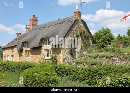Traditionelle Cotswold Cottage mit Strohdach und Garten mit Kletterpflanzen an der Wand Stockfoto