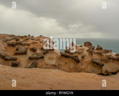 Mashroom Rock in yehilu Geopark in Taiwan. Regentag. Asien. Stockfoto