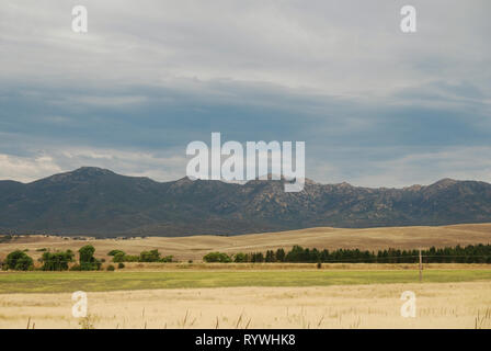 Royalla, New South Wales, Australien. 12 Jan, 2013. Australische Landschaft Stockfoto