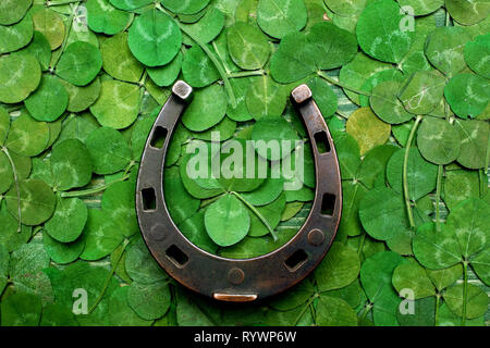 Horse Shoe auf grünen Klee Hintergrund. St. Patrick's Day. Ansicht von oben Stockfoto